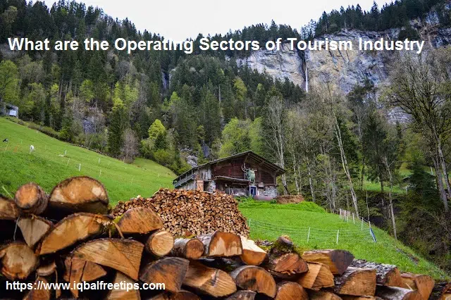 What are the Operating Sectors of Tourism Industry