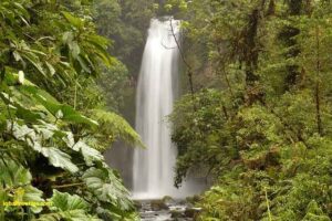 Top 10 Ecotourism Destinations in the World