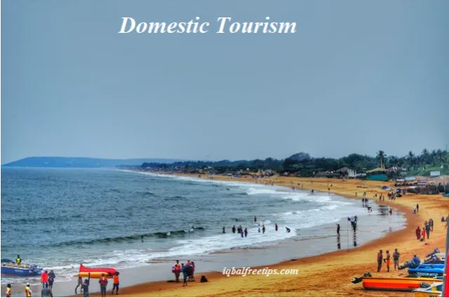 What is Domestic Tourism?