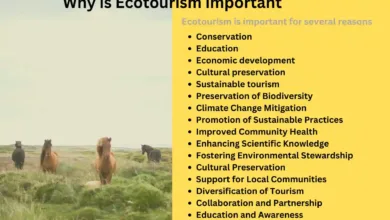 Why is Ecotourism important