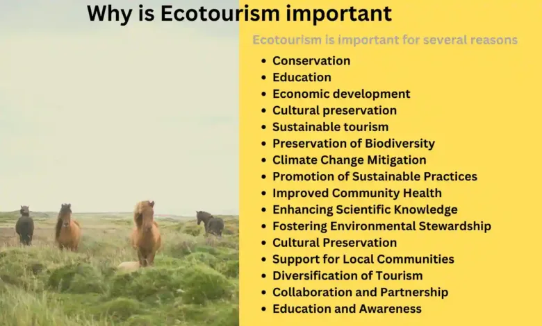 Why is Ecotourism important
