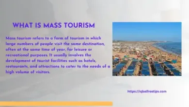 What is Mass Tourism?