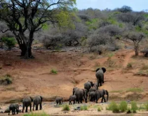 8 Best Ecotourism Destinations in Africa