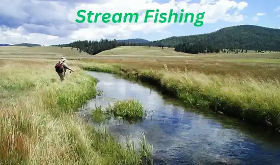 Stream Fishing Adventure
