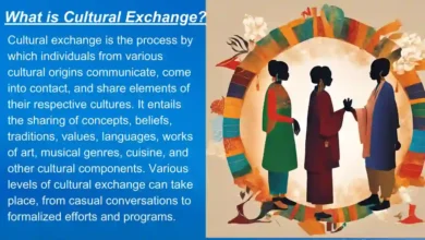 What is Cultural Exchange?