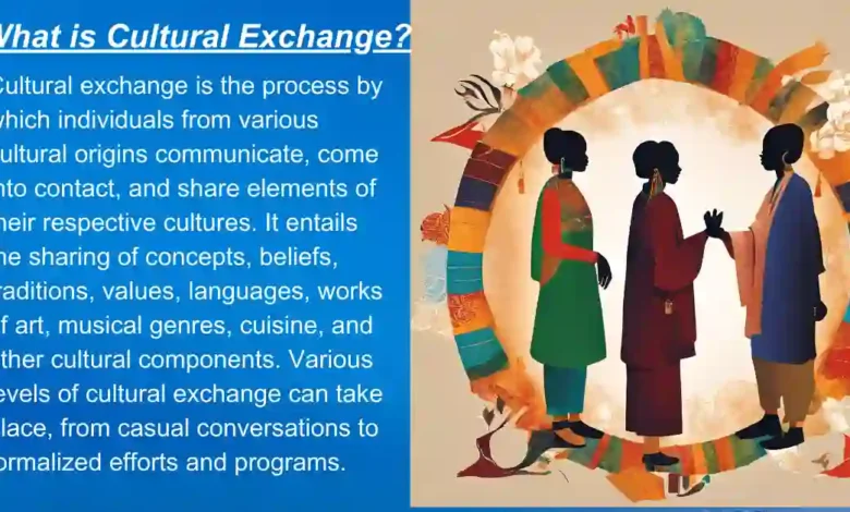 What is Cultural Exchange?