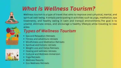 What is wellness Tourism?