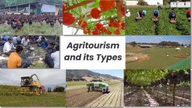 Agritourism and its Types